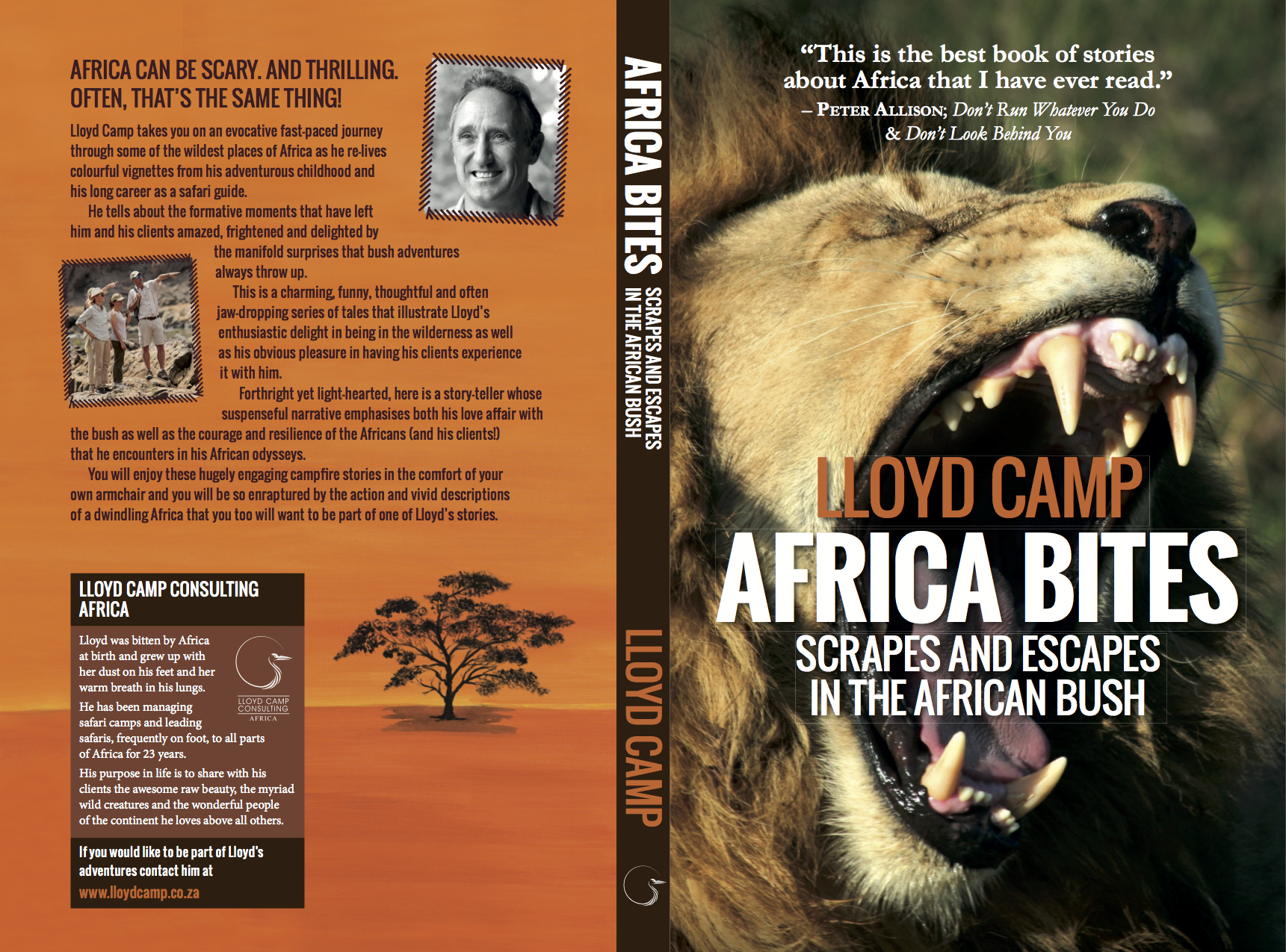 Africa Bites - A series of short stories